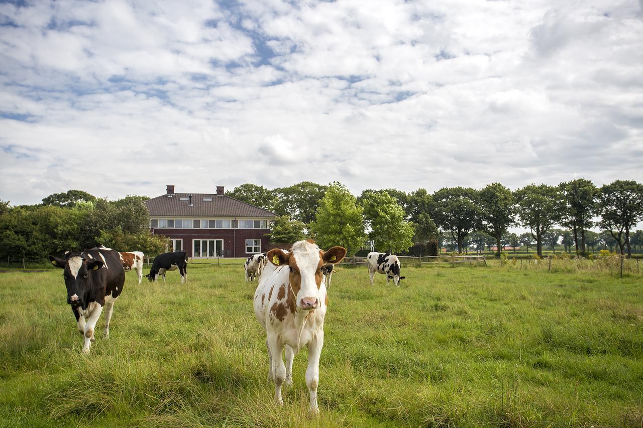 Villa Het Bascour Holthees Luaran gambar